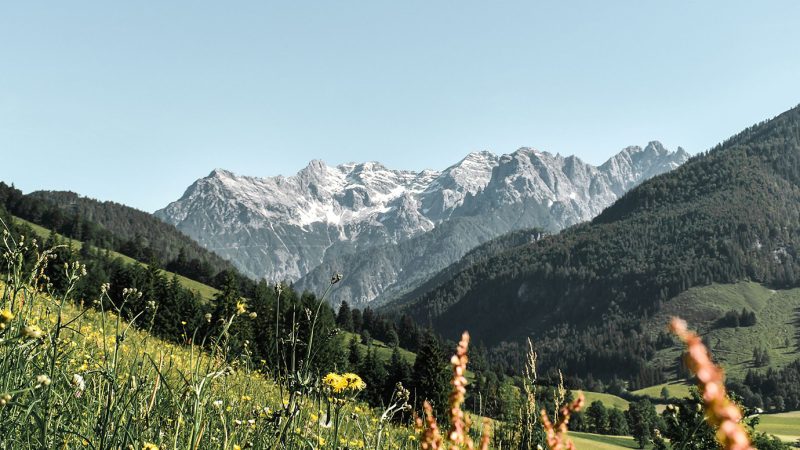 Sommerurlaub in den Kitzbüheler Alpen in Österreich: 5 Sommeraktivitäten