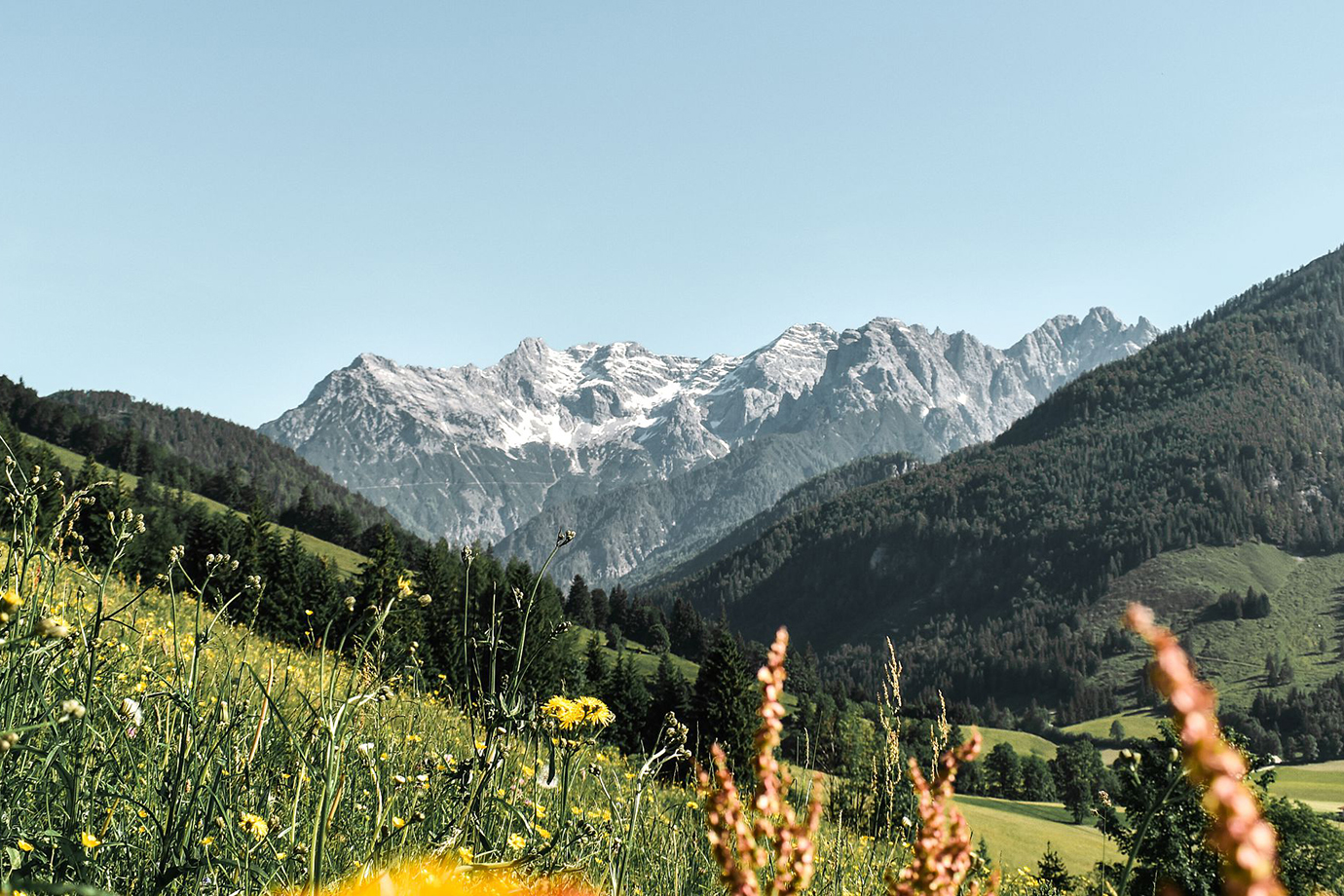 Sommerurlaub in den Kitzbüheler Alpen in Österreich: 5 Sommeraktivitäten